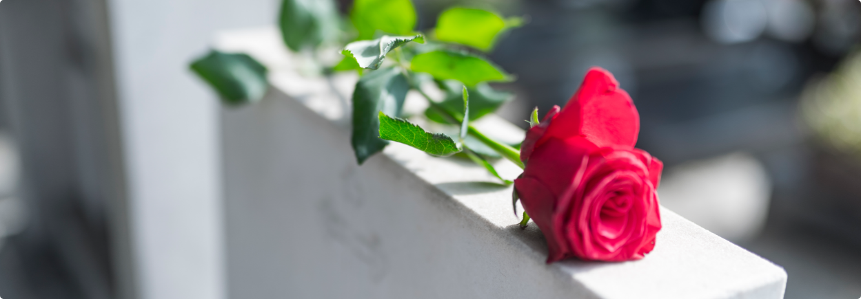 Royal Burial Plan overview
